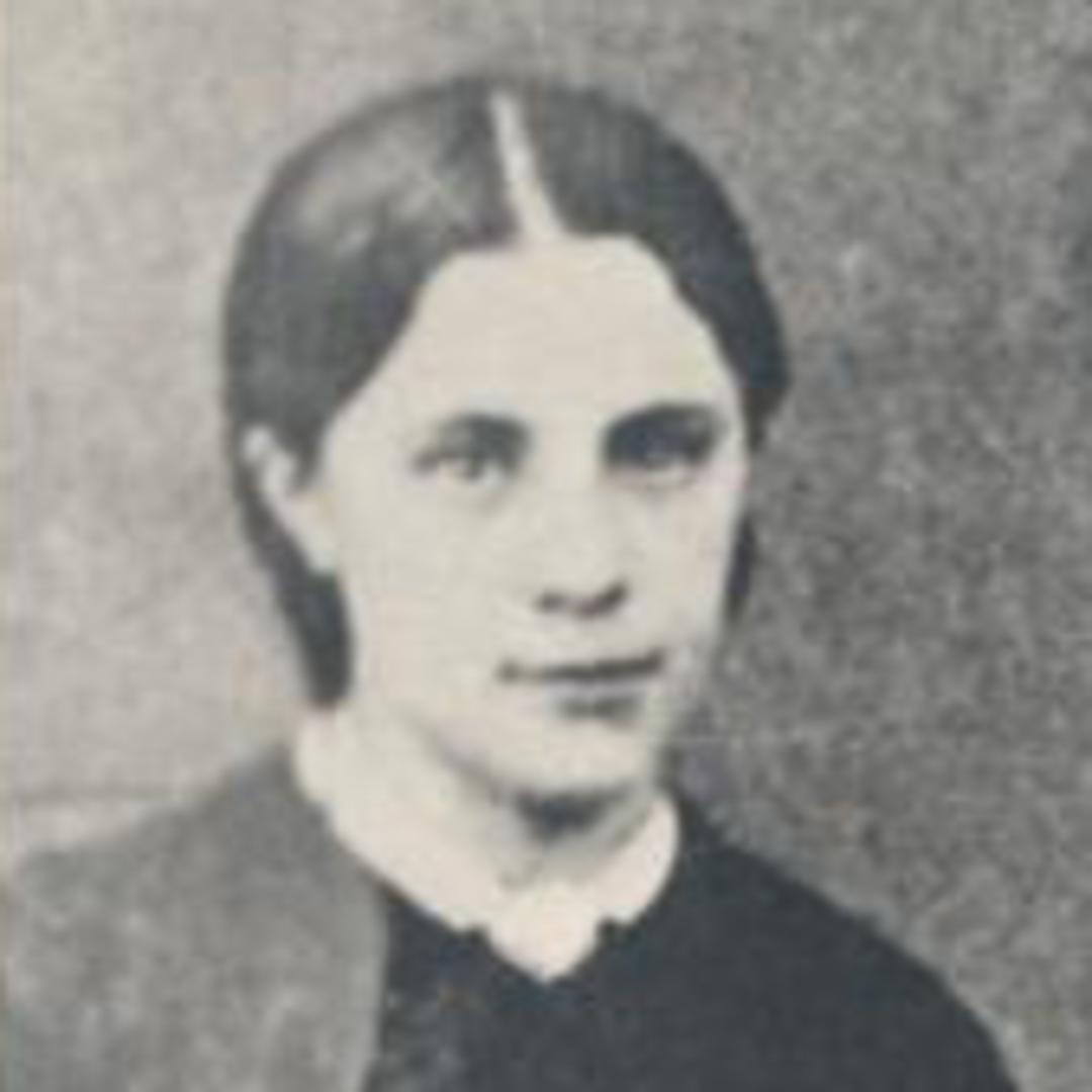 Hannah Waddoups (1847 - 1927) Profile
